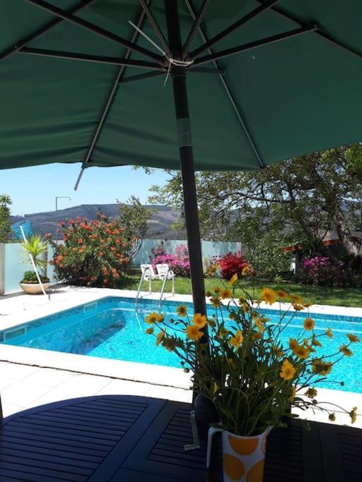 Casat5, Ferias, Piscina Privativa. Agueda, Aveiro Villa Eksteriør bilde